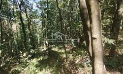 Plac, Beograd - Rogača | Prodaja · 30.000€