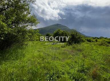 Plac, Zaječar | Prodaja · 1000m² · 40.000€
