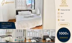 Jednoiposoban stan, Novi Sad | Izdavanje · 50m² · 1.000€