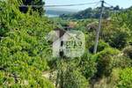 Kuća, Beograd - Grocka | Prodaja · 240m² · 200.000€