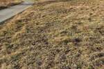 Plac, Zlatibor | Prodaja · 214.500€