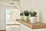 Poslovni prostor / Lokal, Niš - Centar | Izdavanje · 96m² · 950€