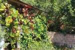 Kuća, Opovo - centar | Prodaja · 298m² · 185.000€