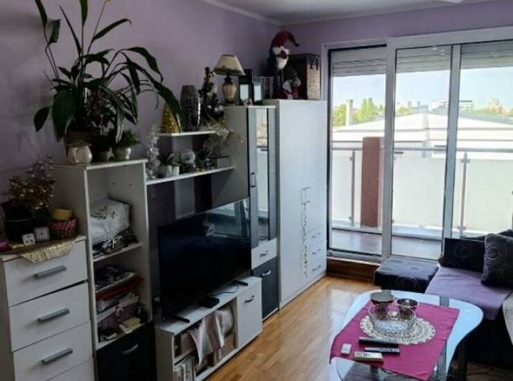 Stan Beograd, Stepa Stepanović – fotografija 3