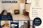 Garsonjera, Novi Sad - Petrovaradin | Izdavanje · 21m² · 200€