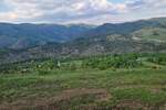 Plac, Čajetina | Prodaja · 4000m² · 38.000€