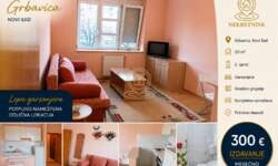 Jednosoban stan, Novi Sad | Izdavanje · 20m² · 300€