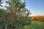 Plac, Beograd - Glumčevo Brdo | Prodaja · 10500m² · 351.000€