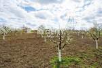 Plac, Beograd - Vranić | Prodaja · 2400m² · 52.000€