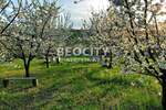 Plac, Beograd - Sremčica | Prodaja · 5400m² · 108.000€