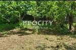 Plac, Novi Sad | Prodaja · 500m² · 75.000€