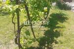 Kuća, Smederevo | Prodaja · 60m² · 90.000€