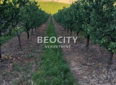 Plac, Irig - Rivica | Prodaja · 107000m² · 850.000€