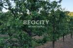 Plac, Irig - Rivica | Prodaja · 107000m² · 850.000€