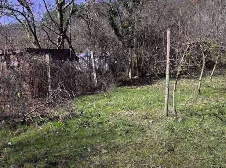 Plac Sremska Kamenica – fotografija 3