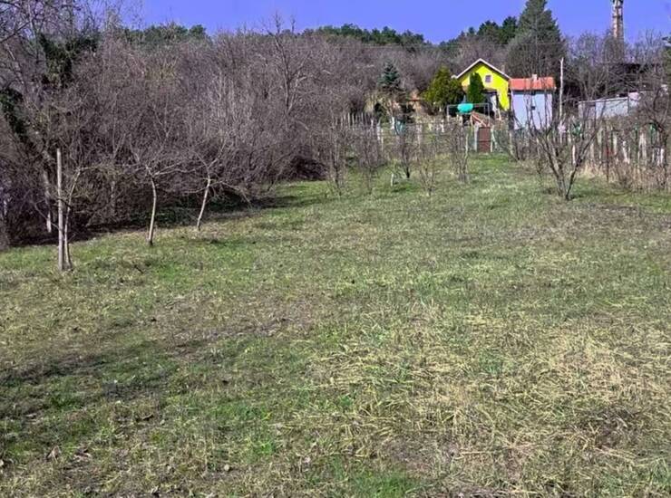 Plac Sremska Kamenica – fotografija 4