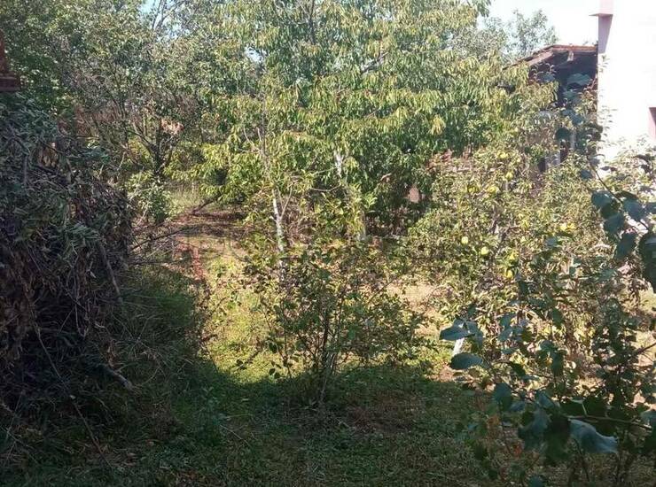 Kuća Kragujevac, Male Pčelice – fotografija 8