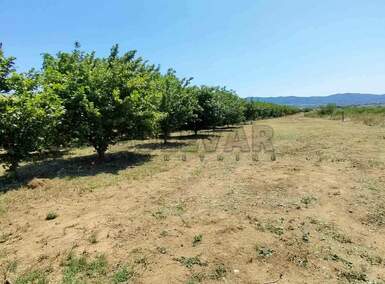 Plac, Pasi poljana · 3500m² · 146.000€ | SveNekretnine