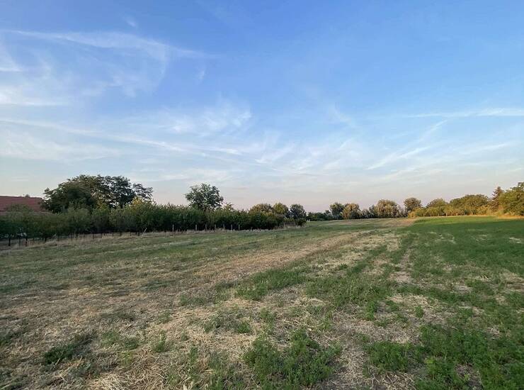 Plac Subotica – fotografija 5