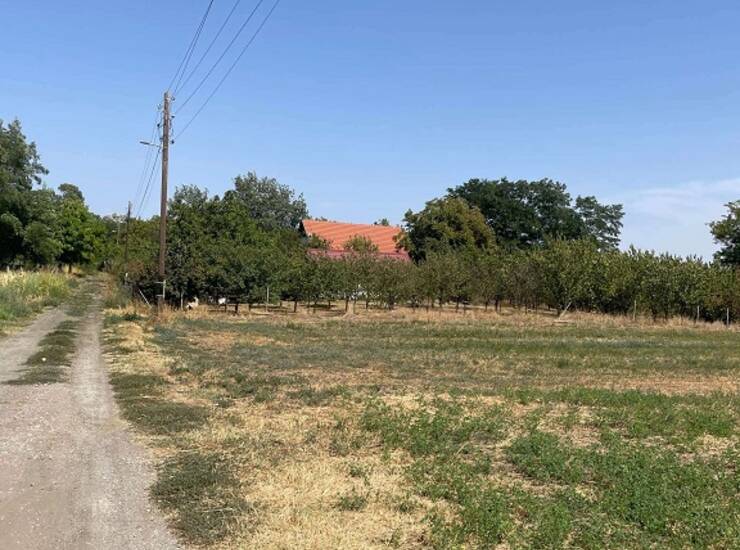Plac Subotica – fotografija 6