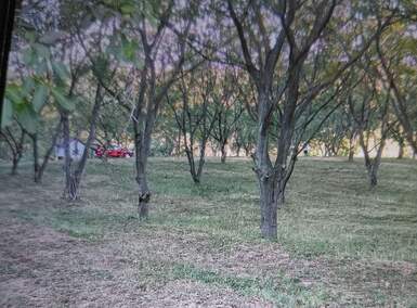 Plac, Novi Sad · 50000m² · 20€ | SveNekretnine