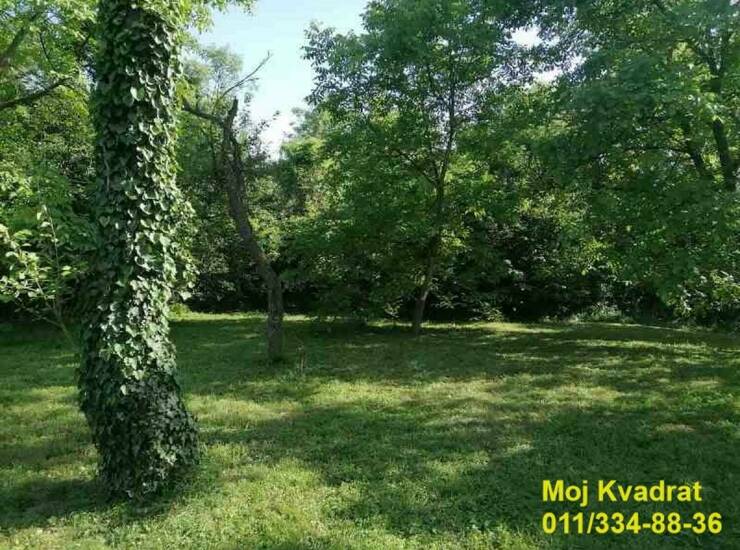 Plac Beograd, Baćevac – fotografija 4