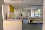 Poslovni prostor / Lokal Novi Sad, Rotkvarija – fotografija 10