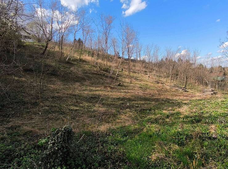Plac Beočin – fotografija 1