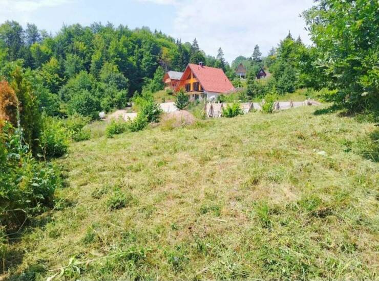 Plac Tara – fotografija 5