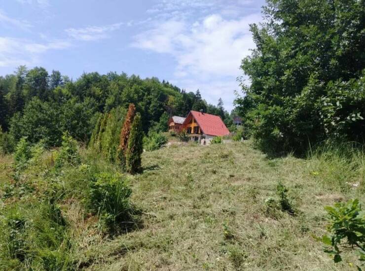 Plac Tara – fotografija 6