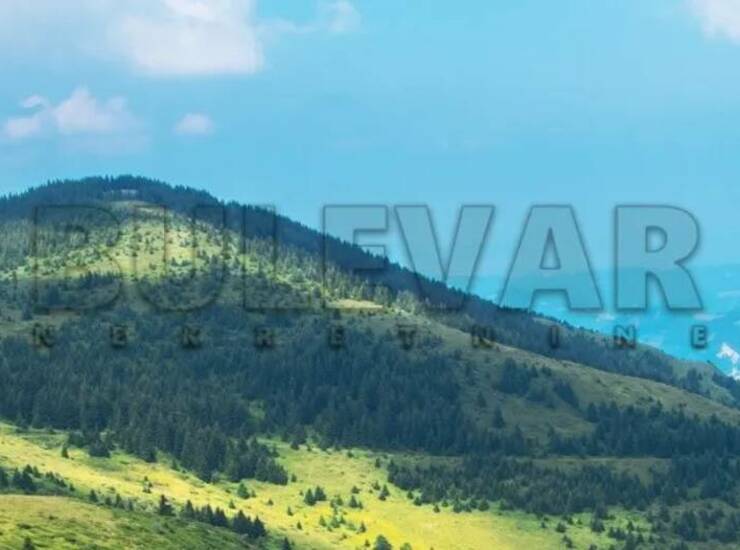 Plac Kopaonik, Treska – fotografija 1