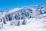 Plac Kopaonik, Treska – fotografija 3
