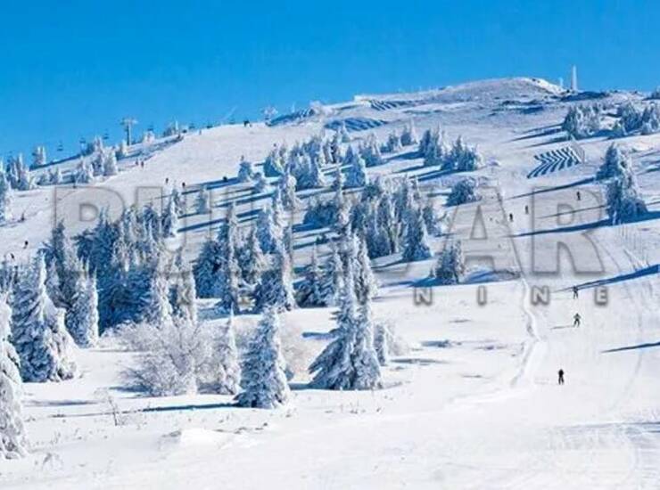 Plac Kopaonik, Treska – fotografija 3
