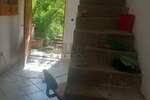 Kuća Niš, Suvi do – fotografija 11
