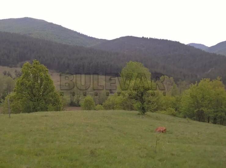 Plac Vrnjačka Banja, Vrnjačka banja – fotografija 1