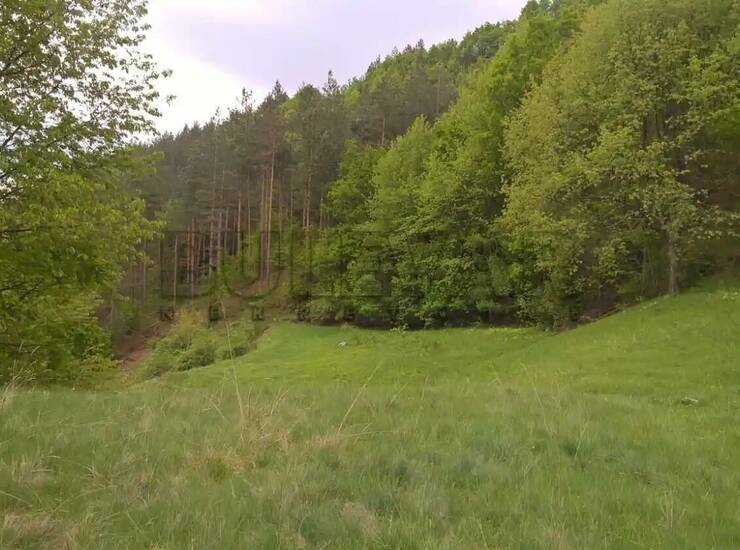 Plac Vrnjačka Banja, Vrnjačka banja – fotografija 3