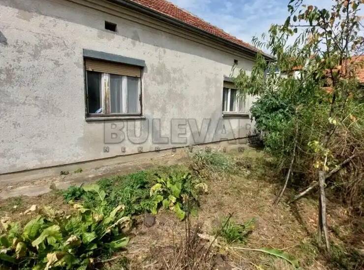 Kuća Pirot, Pirot – fotografija 5