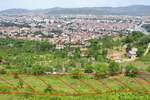 Plac Niš, Trošarina – fotografija 10