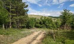 Plac, Berbatovo · 3724m² · 12.200€ | SveNekretnine