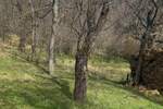 Kuća Gadzin Han, Gornji Barbeš – fotografija 8