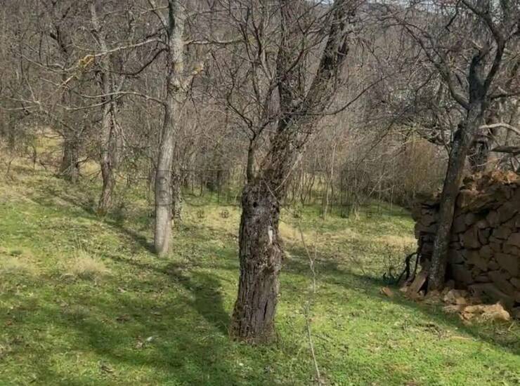 Kuća Gadzin Han, Gornji Barbeš – fotografija 8