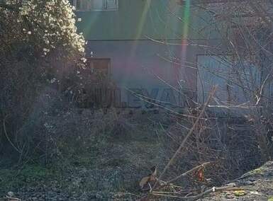 Kuća, Gadžin han · 150m² · 15.000€ | SveNekretnine