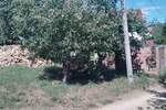 Plac Niš, Gabrovačka reka – fotografija 3