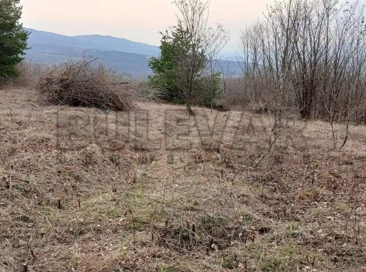 Plac Niš, Donje Vlase – fotografija 3