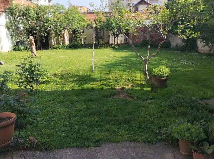 Kuća Niš, Crveni pevac – fotografija 4