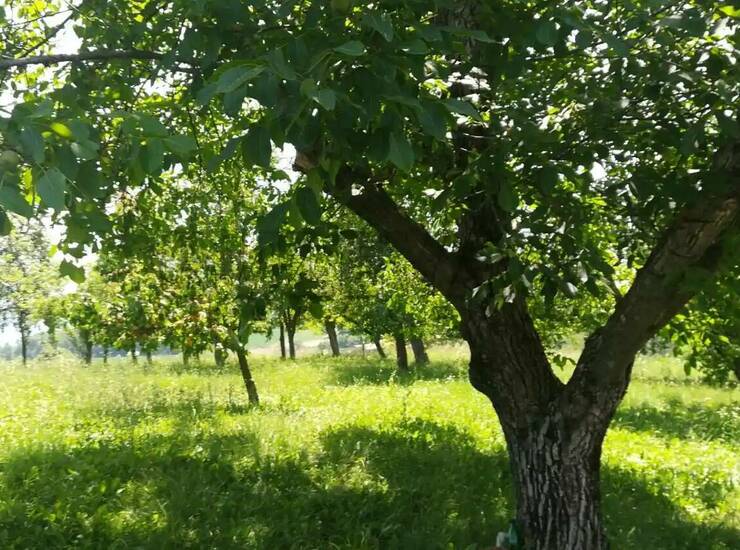 Kuća Kruševac, Stanci – fotografija 9