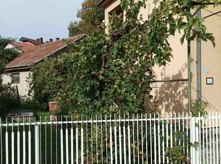 Kuća Knjaževac, Knjaževac – fotografija 3