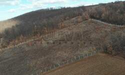 Plac, Božurnja · 20503m² · 100.000€ | SveNekretnine