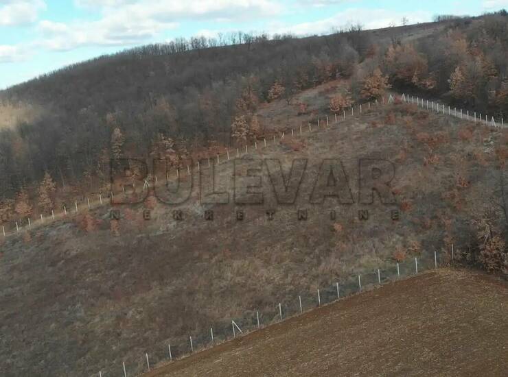 Plac Topola, Božurnja – fotografija 1