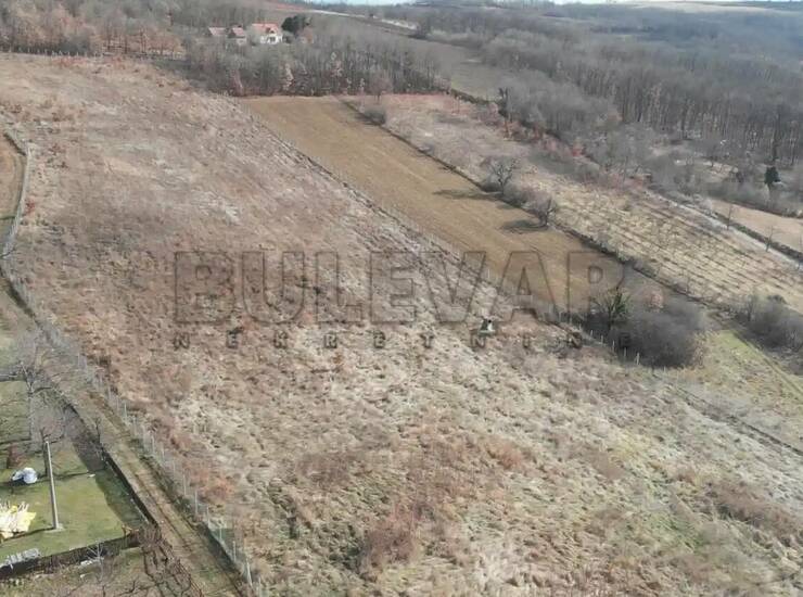 Plac Topola, Božurnja – fotografija 3
